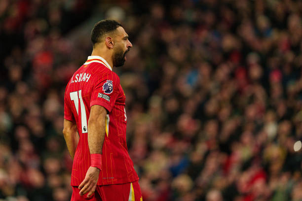 也可能成为 也可能成为